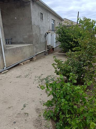 divan usdukleri: SATILIR – Fatmayı kəndində tam təmirli həyət evi Ünvan: Abşeron — 8