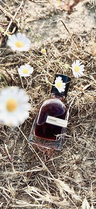Парфюмерия: Парфюмерная вода Orto Parisi Terroni (люксовая копия) - Семейство — 5