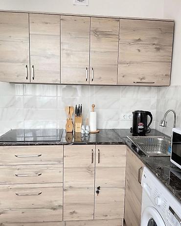 квартира аренде: 1 комната, 45 м², Индивидуалка, 2 этаж, Свежий ремонт — 2