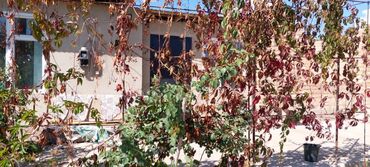 Продажа домов: Дом, 1 м², 2 комнаты, Собственник — 3