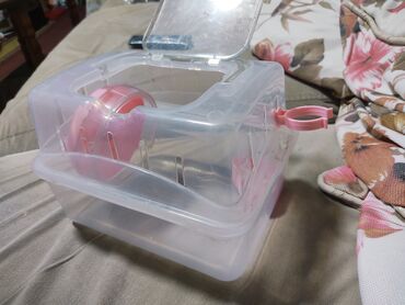 Oyuncaqlar: Kiçik gəmiricilər üçün qaçış topu və daşıma konteyneri seti. - — 4