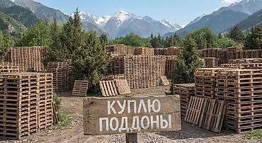 с бизнесом: Куплю поддоны 
паддон сатып алабыз — 1
