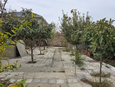 Bağ evlərinin satışı: Bakı, Dübəndi, 133 kv. m, 5 otaqlı, Hovuzsuz, Su, İşıq, İnternet — 10