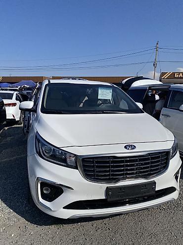 авто будка: Kia Carnival: 2019 г., 2.2 л, Автомат, Дизель, Минивэн — 1