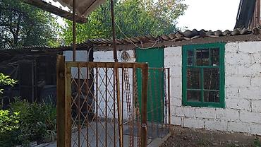 средний низкий: Просторный жилой дом общая площадь 121,5 кв.м., два с половиной — 8