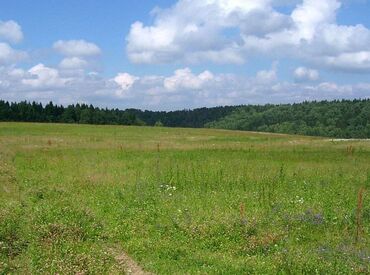 участок комсомольский: 10 соток, Кызыл китеп