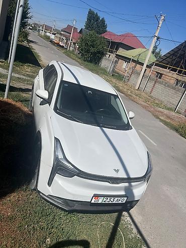 eado ev: Нета ю про электро унаасы. 2022-жылы чыгарылган. Запас хода 400км — 1