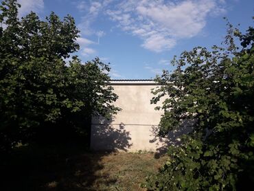 Bağ evlərinin satışı: Bakı, 65 kv. m, 3 otaqlı, Hovuzlu, İşıq — 3