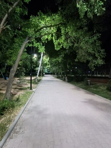 Посуточная аренда комнат: 18 м², С мебелью — 6