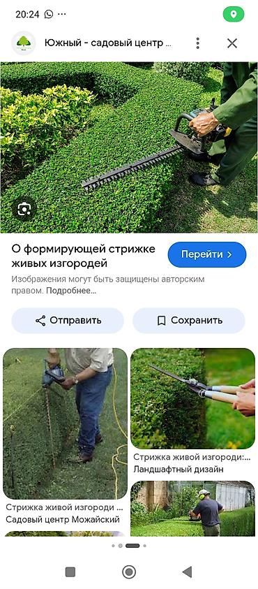 стрижка кустов: Профессиональная формирующая стрижка живых изгородей и кустарников. - — 1