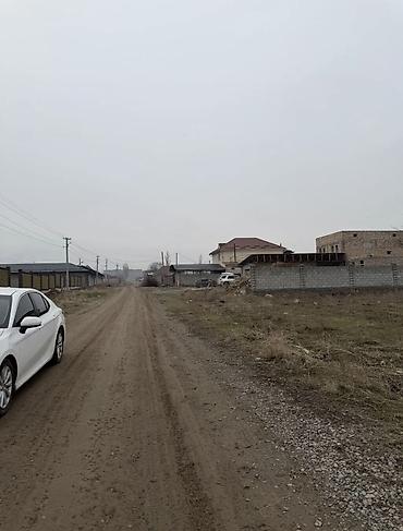 15 соток, Курулуш, Кызыл китеп, Сатып алуу-сатуу келишими — 1