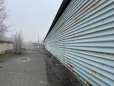Продажа участков: 800 соток, Красная книга — 14