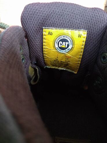 Gležnjače: Gležnjače, 38.5 na lalafo.rs — 5 Gležnjače: Gležnjače, 38.5 — 5