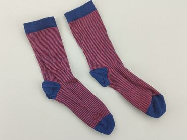Шкарпетки: Шкарпетки, стан - Дуже гарний