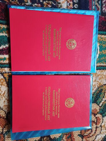 улуш жер арендага: 6 соток, Айыл чарба үчүн, Кызыл китеп