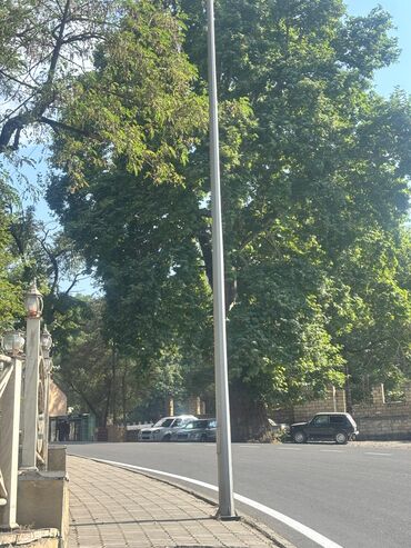 Kirayə torpaq sahələri: 13 sot İşıq — 5