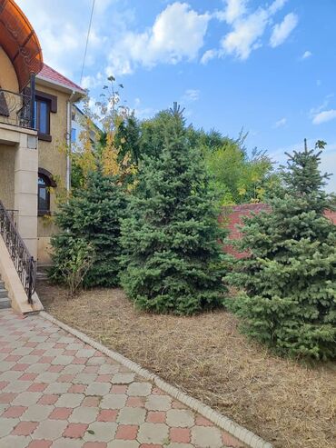 Куплю дом: Сдается 2-х этажный дом с благоустроенным двором и декоративными — 4