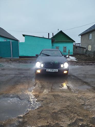 банан цлс: Mercedes-Benz CLK-Class: 1999 г., 2.3 л, Автомат, Бензин, Купе — 4