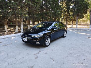 Dəriyə qulluq üçün aksessuarlar: Kia Cerato: 1.6 l | 2011 il Sedan