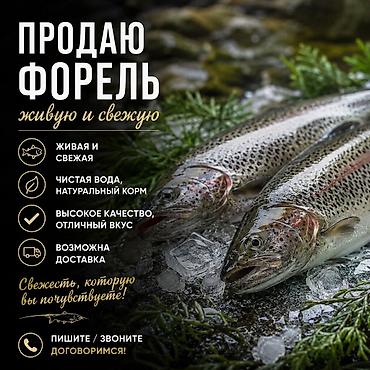 рыбный: Продаю форель навеска от 1кг до 2.5+ Доставим в точку вашего — 1