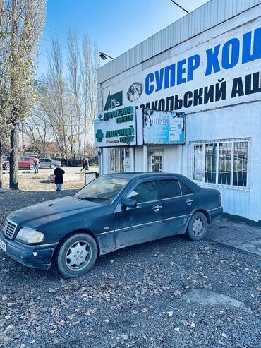 Mercedes-Benz: Mercedes-Benz 220: 1995 г., 2.2 л, Автомат, Бензин