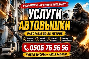 c 220: Стрела 28 м, 300 т — 1