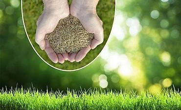 Дворники, садовники: 🌱Я садовник сеем газон с нуля посев газон садовник выезд — 8