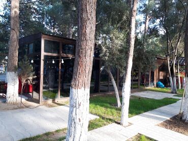 Restoran, kafelər: Sumqayıt şəhəri Nəsimi Parkında Meşəlik ərazidə yerləşən, açıq — 2