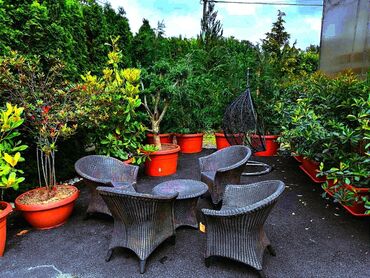 Baštenski nameštaj: Baštenska ganitura, Novo — 2