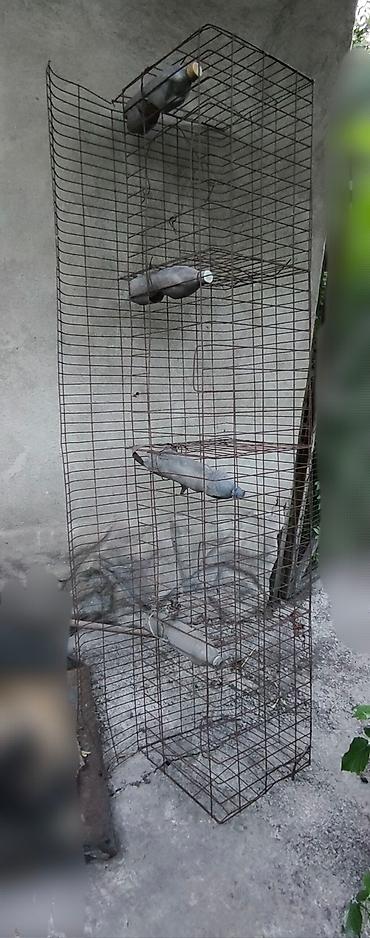 Бочки: Бочка Металл, Самовывоз at lalafo.kg — 13 Бочки: Бочка Металл, Самовывоз — 13