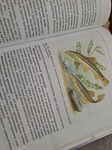 Digər kitablar və jurnallar: Общая биология,10-11 классы -da lalafo.az — 3 Digər kitablar və jurnallar: Общая биология,10-11 классы — 3