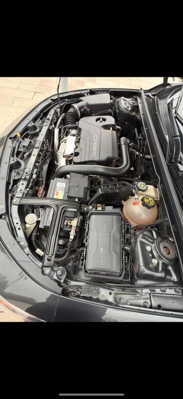 Chevrolet: Chevrolet Malibu: 1.5 l | 182000 km Sedan — 7