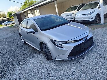 Toyota: Toyota Corolla: 2020 г., 1.8 л, Вариатор, Гибрид, Хэтчбэк — 9