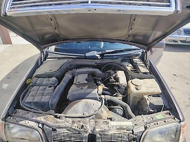 275 40 22: Mercedes-Benz C-Class: 1.8 l | 1995 il Sedan — 1