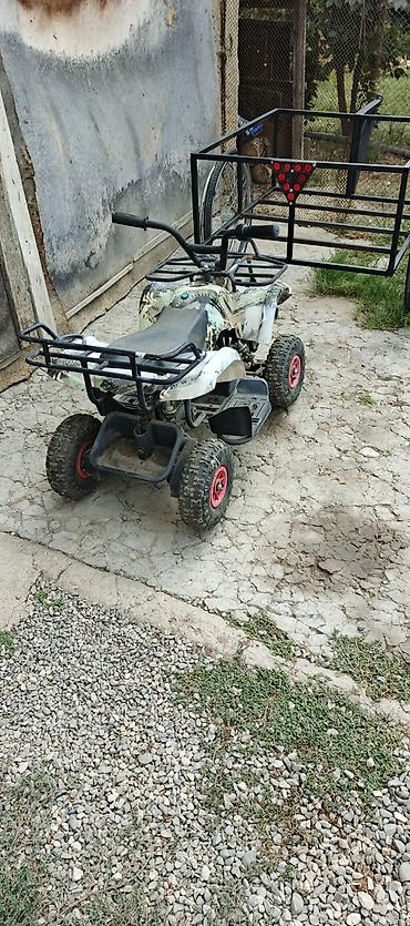 turbo az skuter: Uşaq/yeniyetmə üçün mini ATV və qoşqu - 4 təkərli benzinli mini ATV — 3