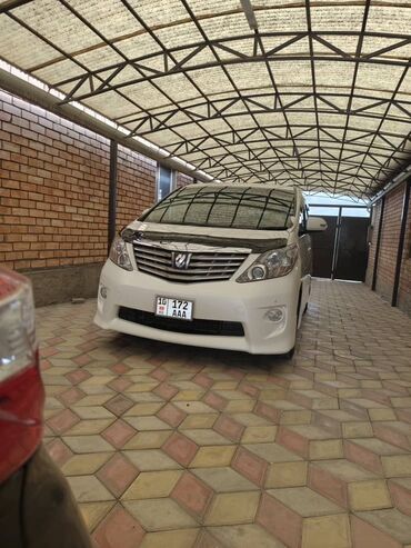 домкрат воздушный: Toyota Alphard: 2010 г., 3.5 л, Типтроник, Газ, Вэн/Минивэн