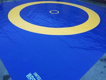 Другие тренажеры: Профессиональные спортивные маты для единоборств Назначение: - борьба — 35