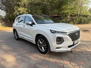 матор для лодки: Hyundai Santa Fe: 2019 г., 2 л, Автомат, Бензин, Кроссовер