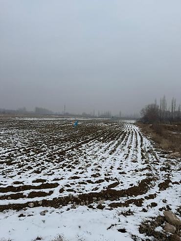 Продажа участков: 80 соток, Для сельского хозяйства, Красная книга — 7
