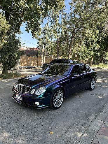 стейдж: Mercedes-Benz E-класс AMG: 2003 г., 5.5 л, Автомат, Бензин, Седан — 3