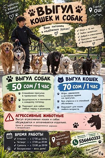 Выгул кошек и собак в городе Ош - Индивидуальные и групповые прогулки