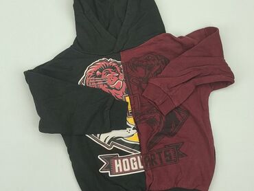 kurtki chłopięce softshell: Світшот, Harry Potter, 5-6 р., 110-116 см, стан - Дуже гарний