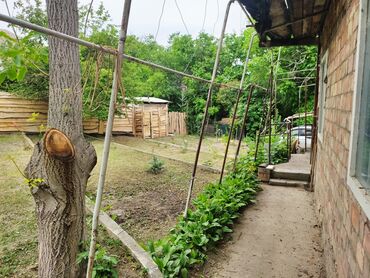 Продажа домов: Дача, 63 м², 3 комнаты, Собственник, Косметический ремонт — 29