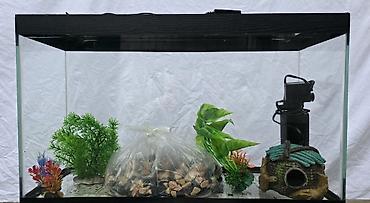 akvaryum aksesuarları: Dördbucaq akvarium, Boş, 70 l, Ünvandan götürmə, Ödənişli çatdırılma — 1