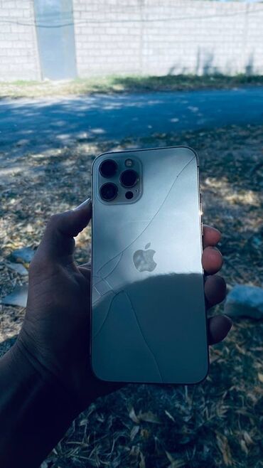 студийные микрофоны: IPhone 12 Pro Max, Серебристый