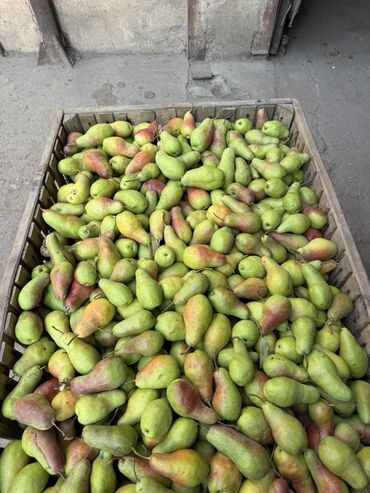 Груши: Груши В розницу, Самовывоз — 6