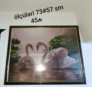 Şəkillər, tablolar: Mağazanın bağlanması ilə əlaqədar dəyərindən aşağı satılır — 7