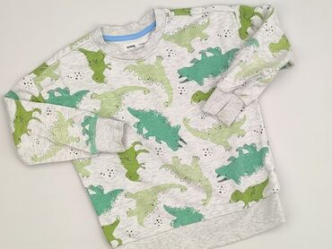 solar kamizelki: Sweatshirt, SinSay, 4-5 years, 104-110 cm, condition - Very good