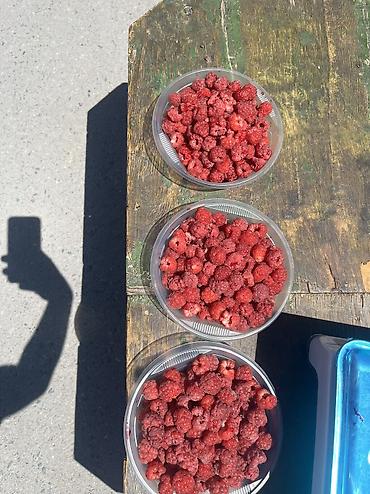 Продаю малину по килограмму кг300 сом 
Доставка по Бишкеку бесплатно