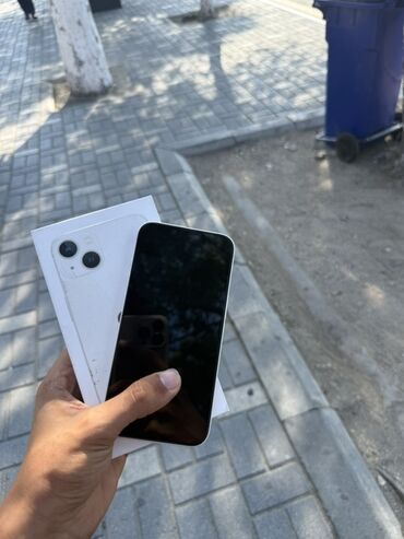 i̇phon: IPhone 13, Ağ